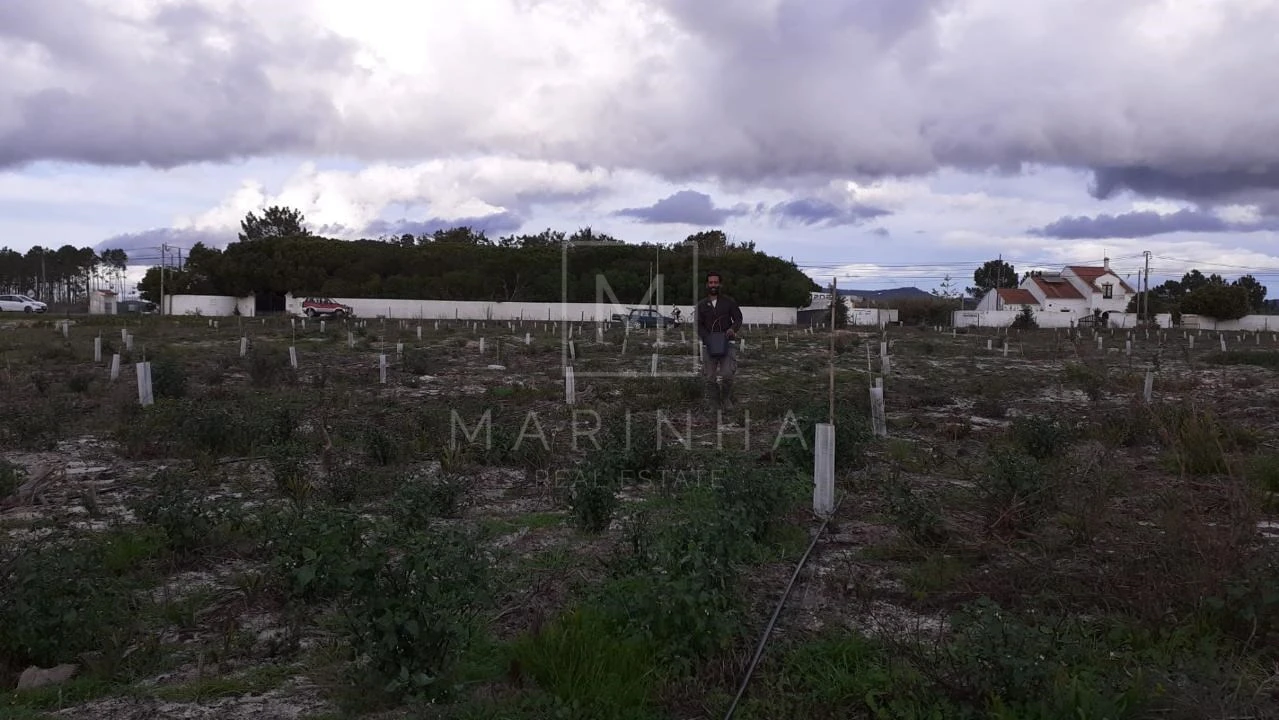 Terreno Misto para Venda em Vila Nova de Milfontes Foto 24