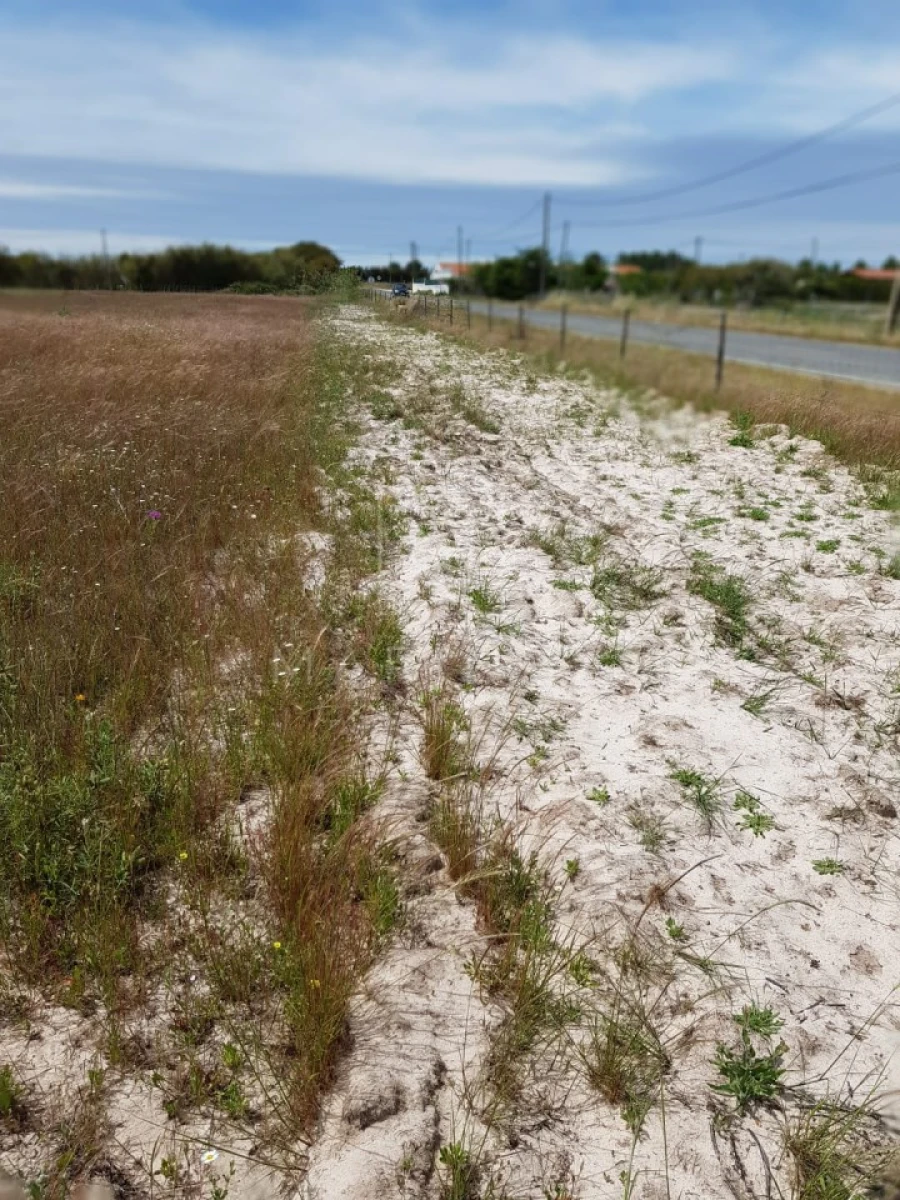 Terreno Misto para Venda em Vila Nova de Milfontes Foto 35