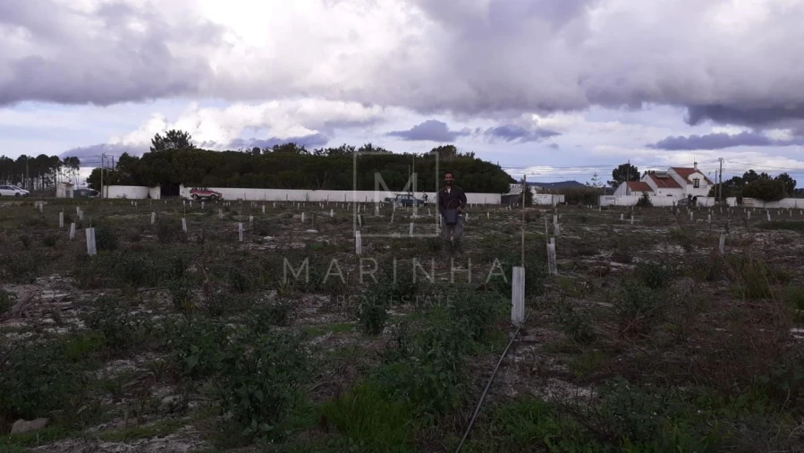 Terreno Misto para Venda em Vila Nova de Milfontes Foto 24