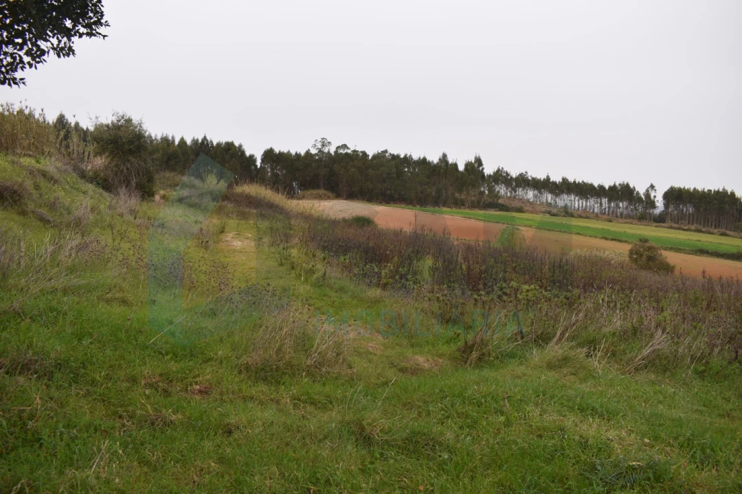 Terreno Agricola ou Rústico para Venda em Lourinhã e Atalaia Foto 1