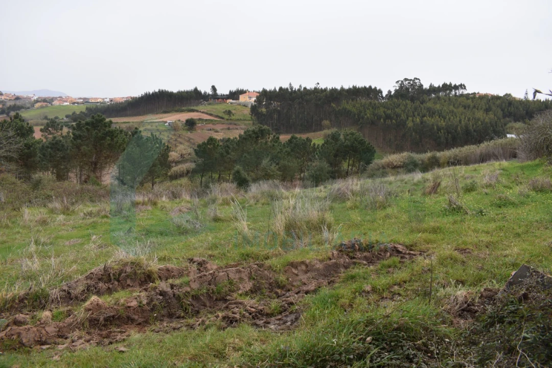Terreno Agricola ou Rústico para Venda em Lourinhã e Atalaia Foto 3