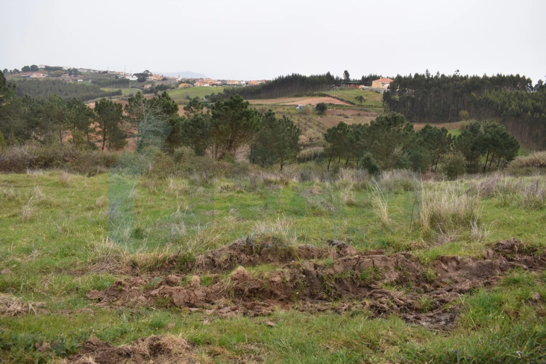 Terreno Agricola ou Rústico para Venda em Lourinhã e Atalaia Foto 2