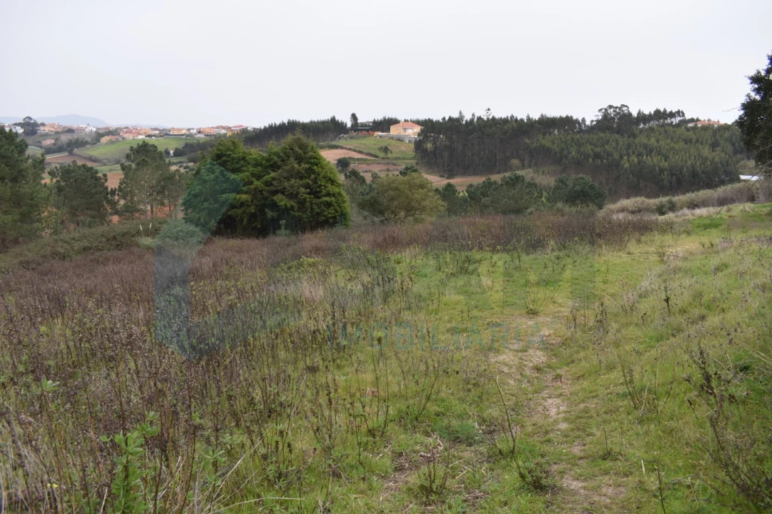 Terreno Agricola ou Rústico para Venda em Lourinhã e Atalaia Foto 7