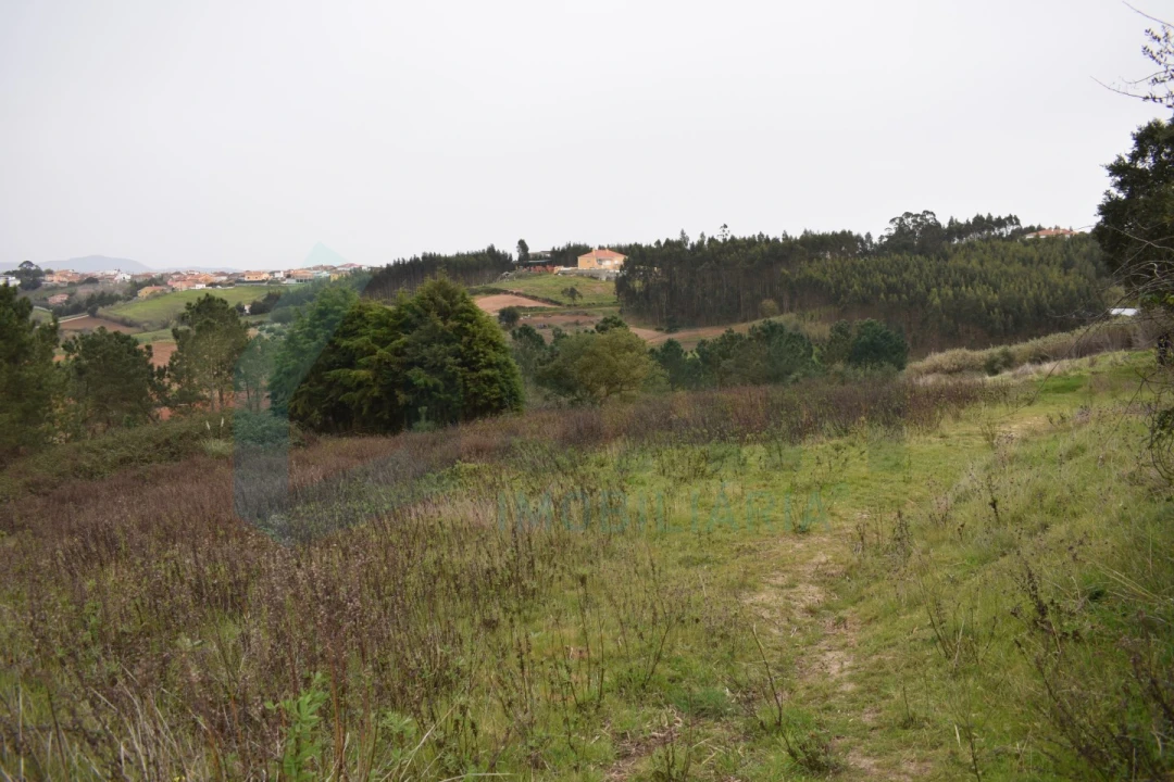 Terreno Agricola ou Rústico para Venda em Lourinhã e Atalaia Foto 8