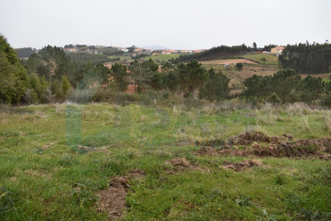 Terreno Agricola ou Rústico para Venda em Lourinhã e Atalaia Foto 9