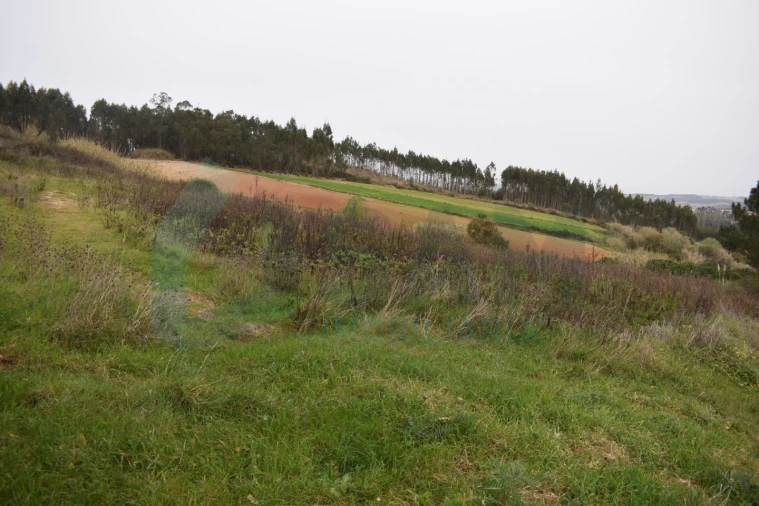 Terreno Agricola ou Rústico para Venda em Lourinhã e Atalaia Foto 5