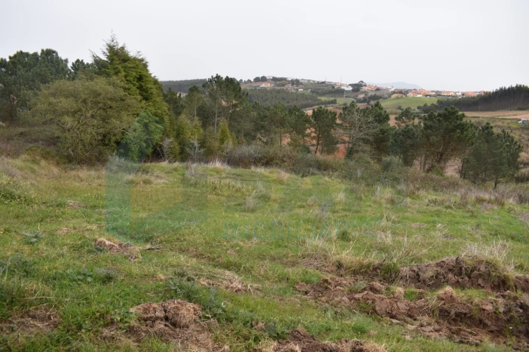 Terreno Agricola ou Rústico para Venda em Lourinhã e Atalaia Foto 4