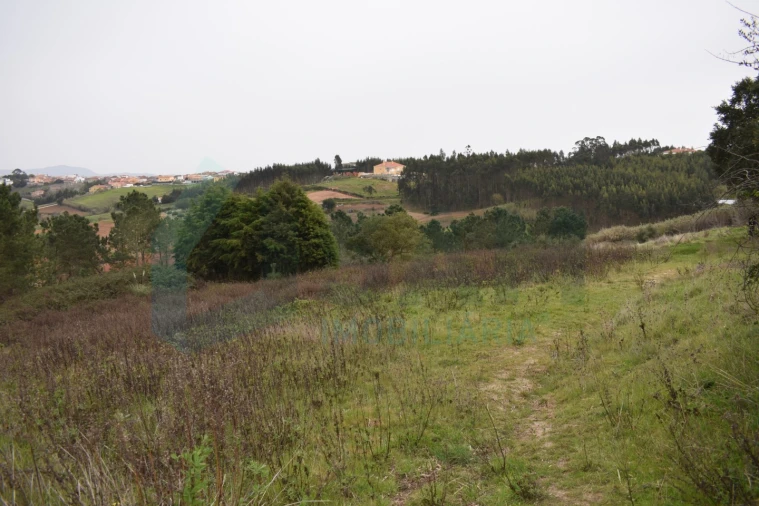 Terreno Agricola ou Rústico para Venda em Lourinhã e Atalaia Foto 8
