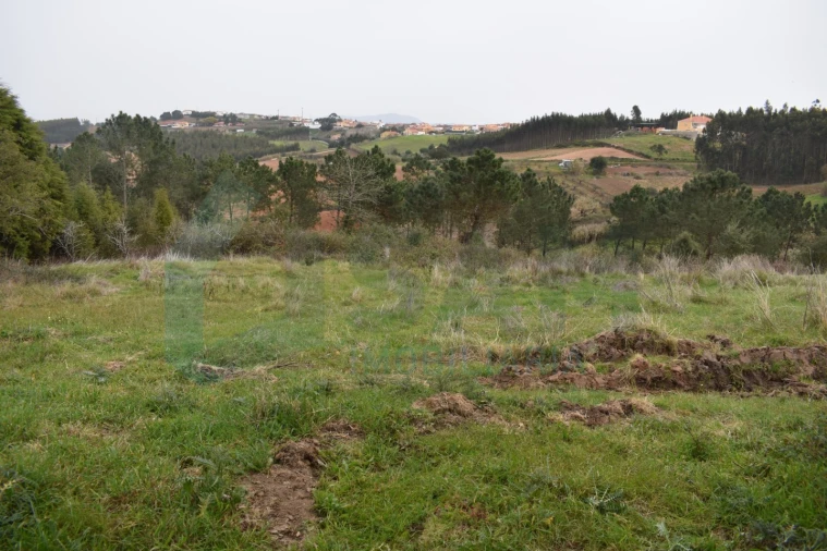 Terreno Agricola ou Rústico para Venda em Lourinhã e Atalaia Foto 9