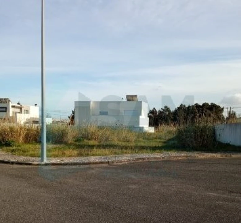 Terreno para Venda em Tornada e Salir do Porto Foto 5