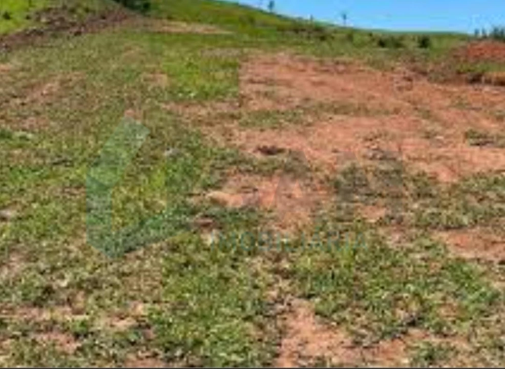 Terreno para Venda em Cadaval e Pêro Moniz Foto 3