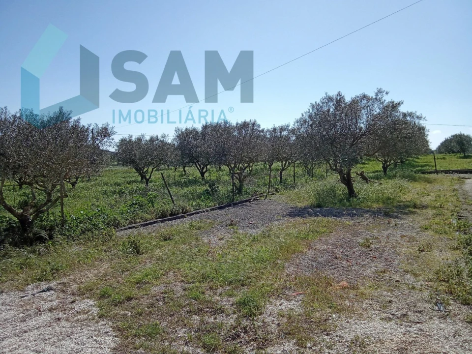 Terreno para Venda em Cadaval e Pêro Moniz Foto 1