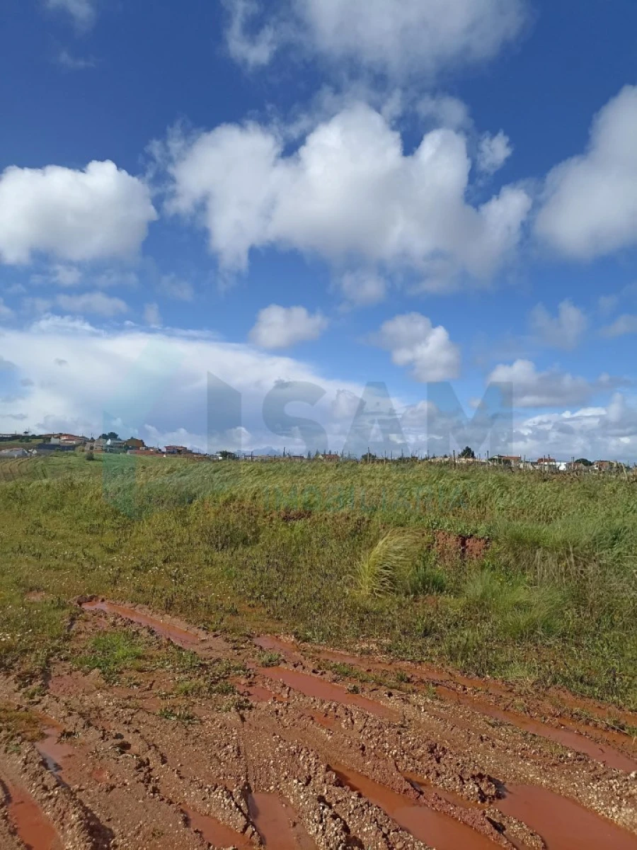 Terreno para Venda em Cadaval e Pêro Moniz Foto 4