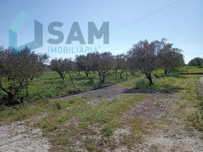 Terreno para Venda em Cadaval e Pêro Moniz Foto 1