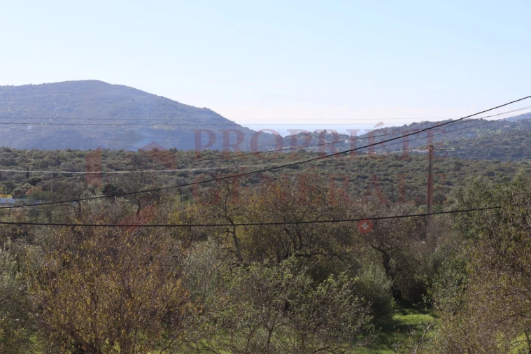 Apartamento T4 para Venda em São Brás de Alportel Foto 41