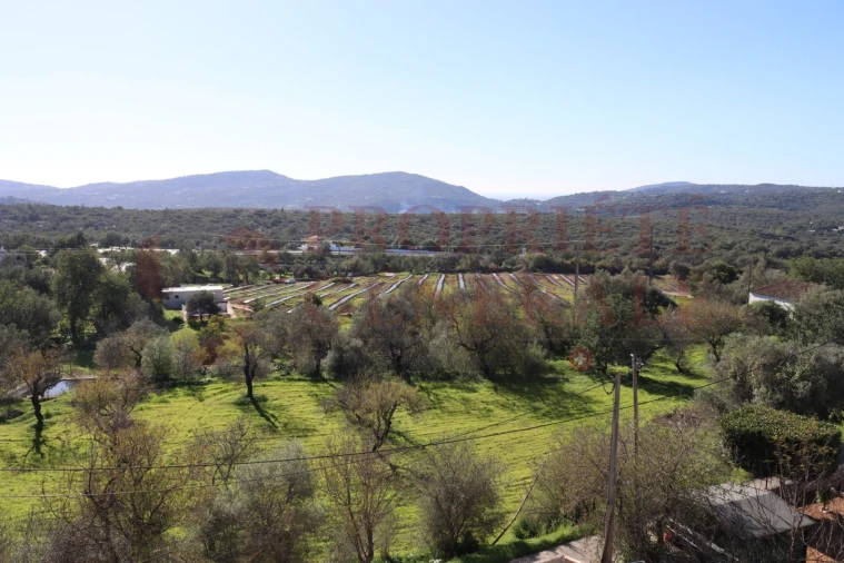 Apartamento T4 para Venda em São Brás de Alportel Foto 43