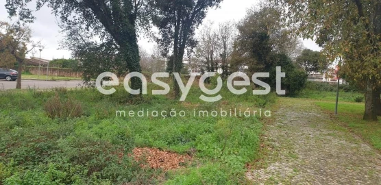 Terreno para Venda em Albergaria-A-Velha e Valmaior
