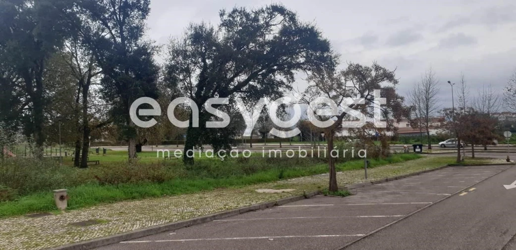 Terreno para Venda em Albergaria-A-Velha e Valmaior Foto 11