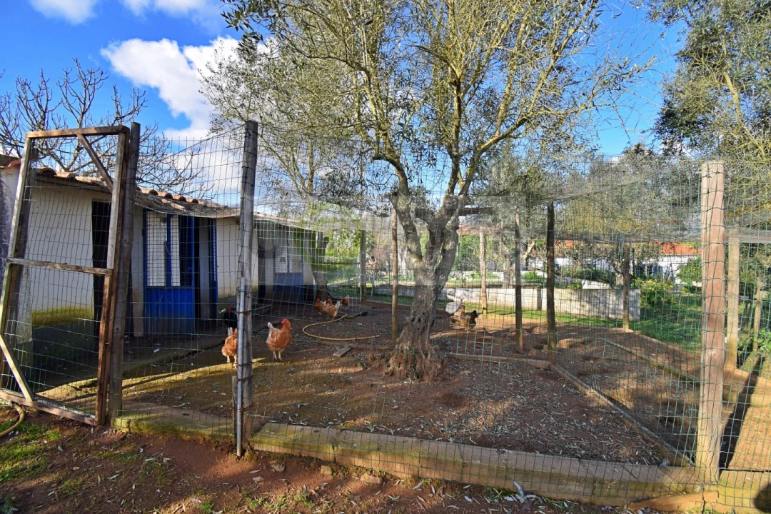 Quinta T7 para Venda em Nossa Senhora da Vila, Nossa Senhora do Bispo e Silveiras Foto 85