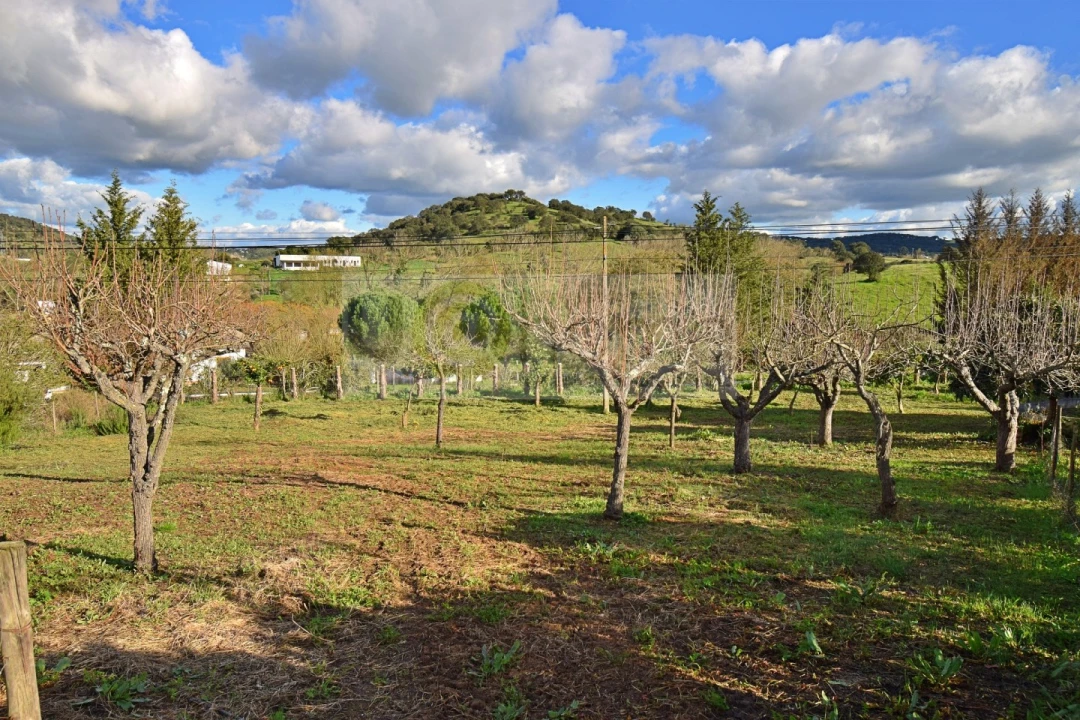 Quinta T7 para Venda em Nossa Senhora da Vila, Nossa Senhora do Bispo e Silveiras Foto 89