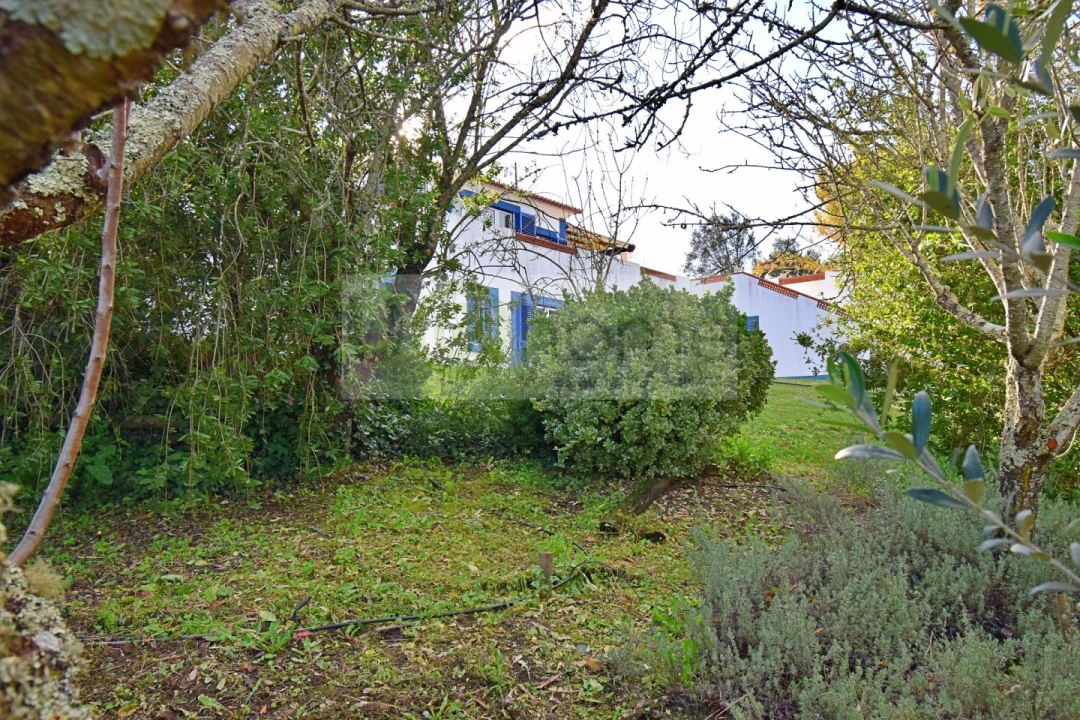 Quinta T7 para Venda em Nossa Senhora da Vila, Nossa Senhora do Bispo e Silveiras Foto 92