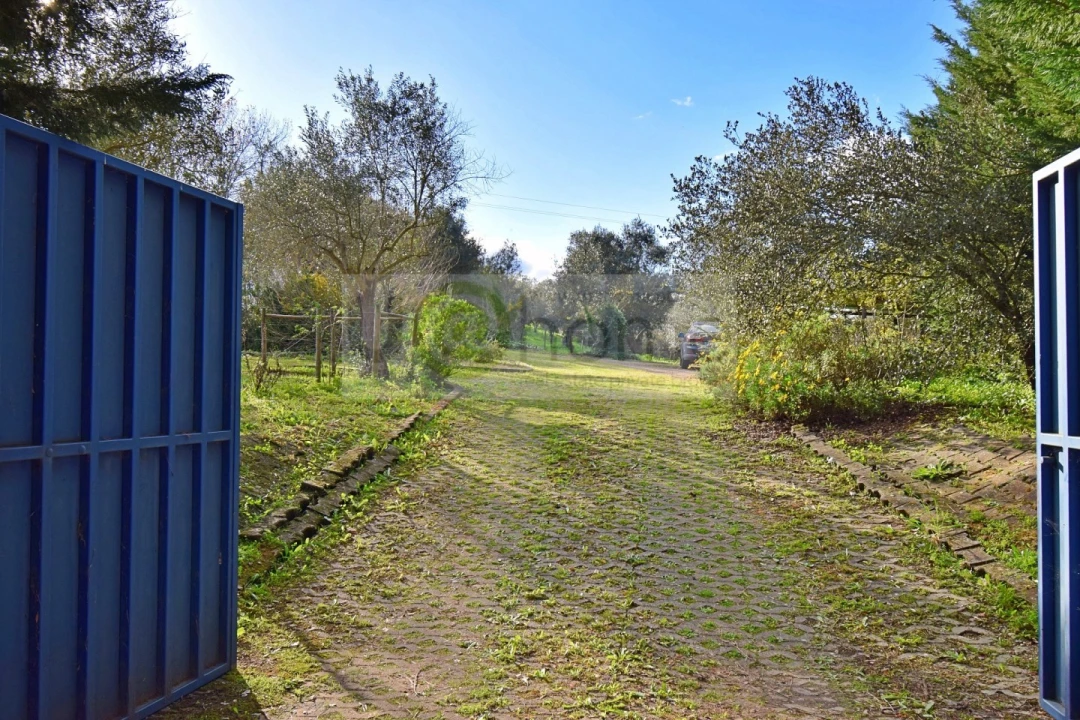 Quinta T7 para Venda em Nossa Senhora da Vila, Nossa Senhora do Bispo e Silveiras Foto 94
