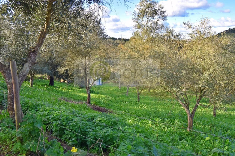 Quinta T7 para Venda em Nossa Senhora da Vila, Nossa Senhora do Bispo e Silveiras Foto 77