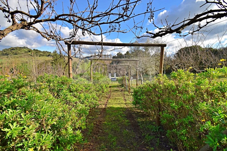 Quinta T7 para Venda em Nossa Senhora da Vila, Nossa Senhora do Bispo e Silveiras Foto 88