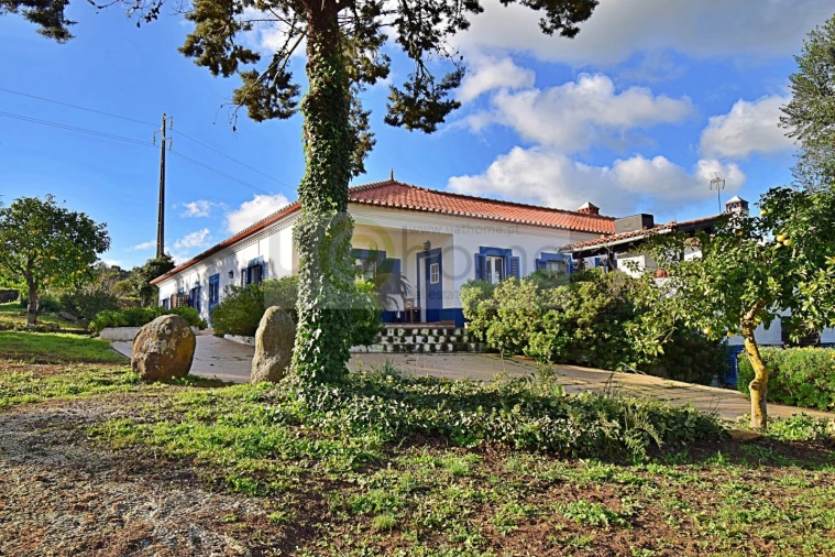 Quinta T7 para Venda em Nossa Senhora da Vila, Nossa Senhora do Bispo e Silveiras Foto 1