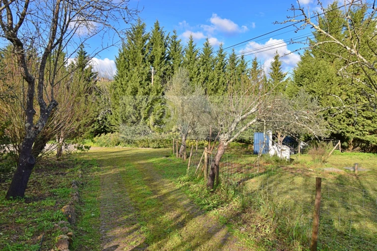 Quinta T7 para Venda em Nossa Senhora da Vila, Nossa Senhora do Bispo e Silveiras Foto 93