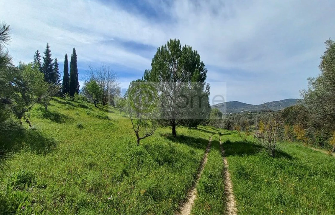 Quinta T4 para Venda em Santa Barbara de Nexe Foto 5