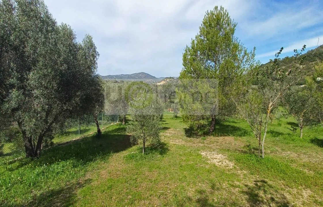 Quinta T4 para Venda em Santa Barbara de Nexe Foto 28