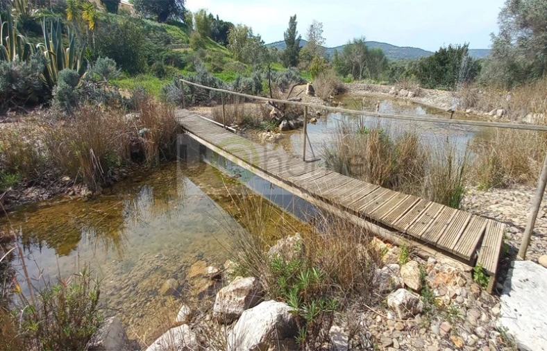 Quinta T4 para Venda em Santa Barbara de Nexe Foto 4