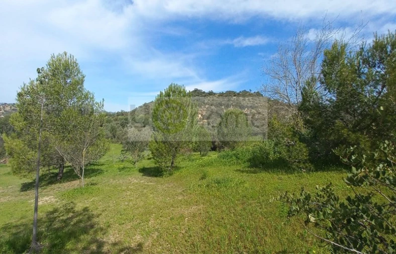 Quinta T4 para Venda em Santa Barbara de Nexe Foto 30