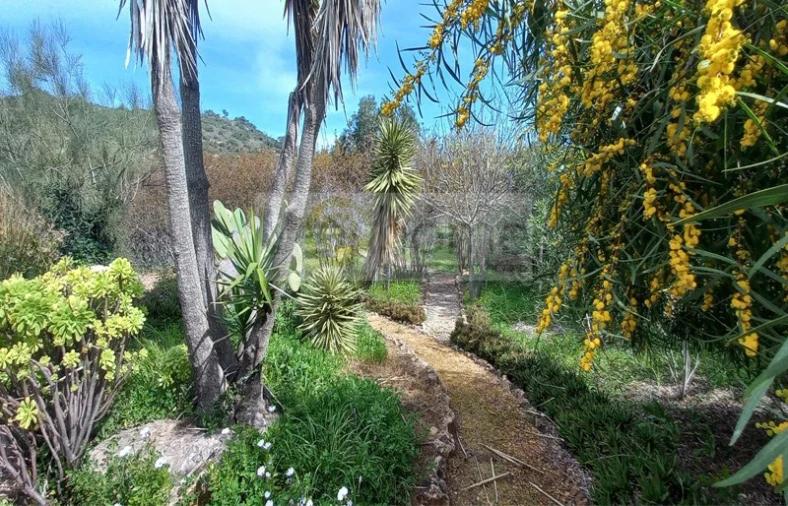 Quinta T4 para Venda em Santa Barbara de Nexe Foto 33