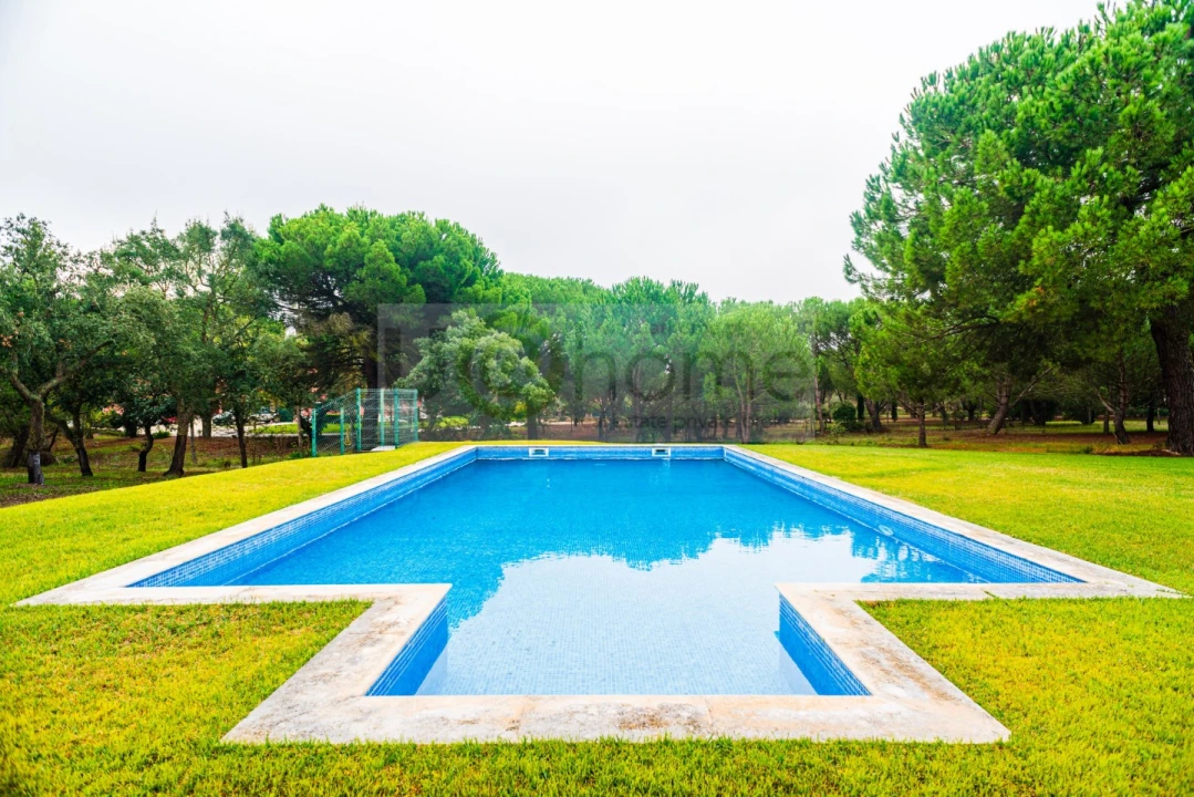 Quinta T4 para Venda em Santo Estêvão Foto 7