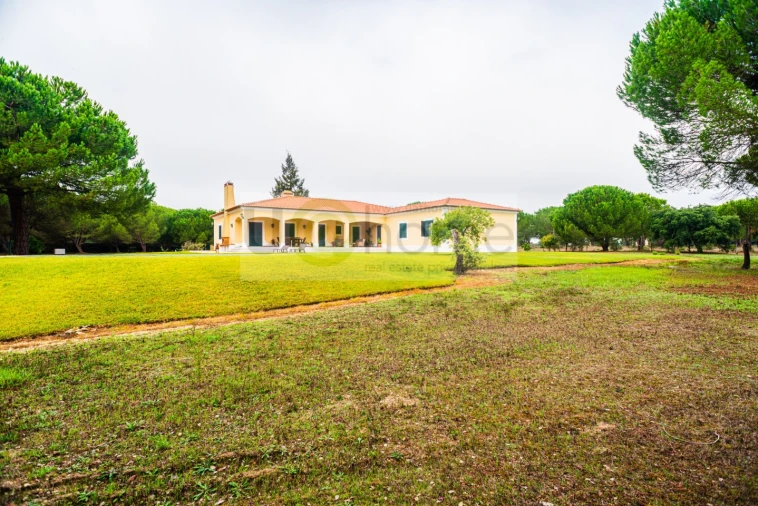 Quinta T4 para Venda em Santo Estêvão Foto 27