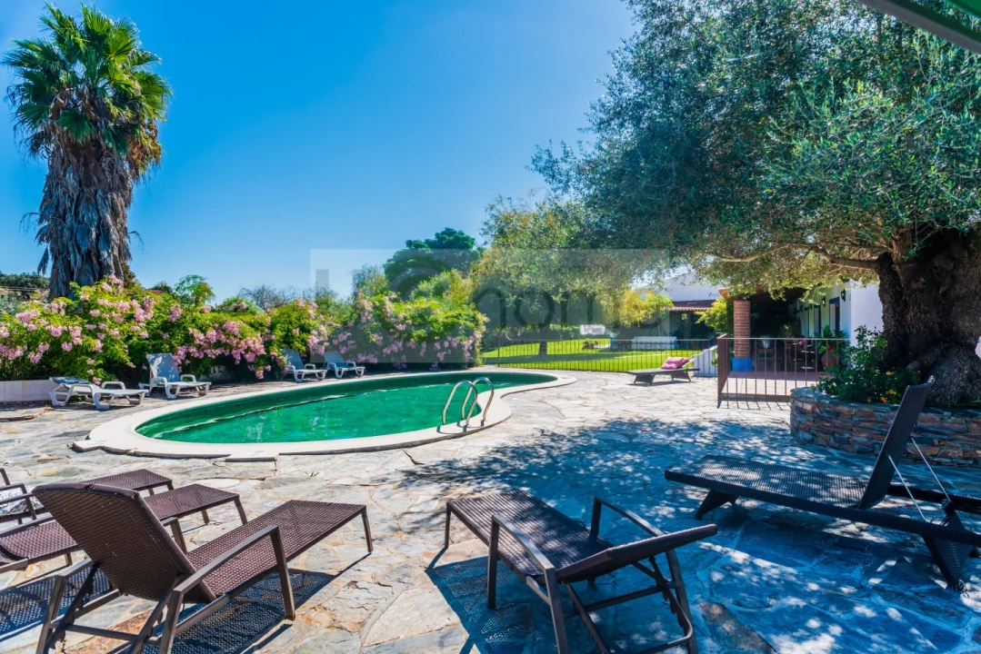 Quinta T13 para Venda em Monsaraz Foto 5