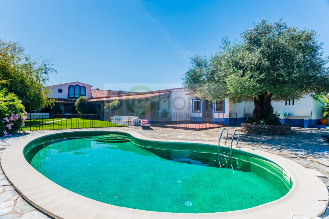 Quinta T13 para Venda em Monsaraz Foto 6