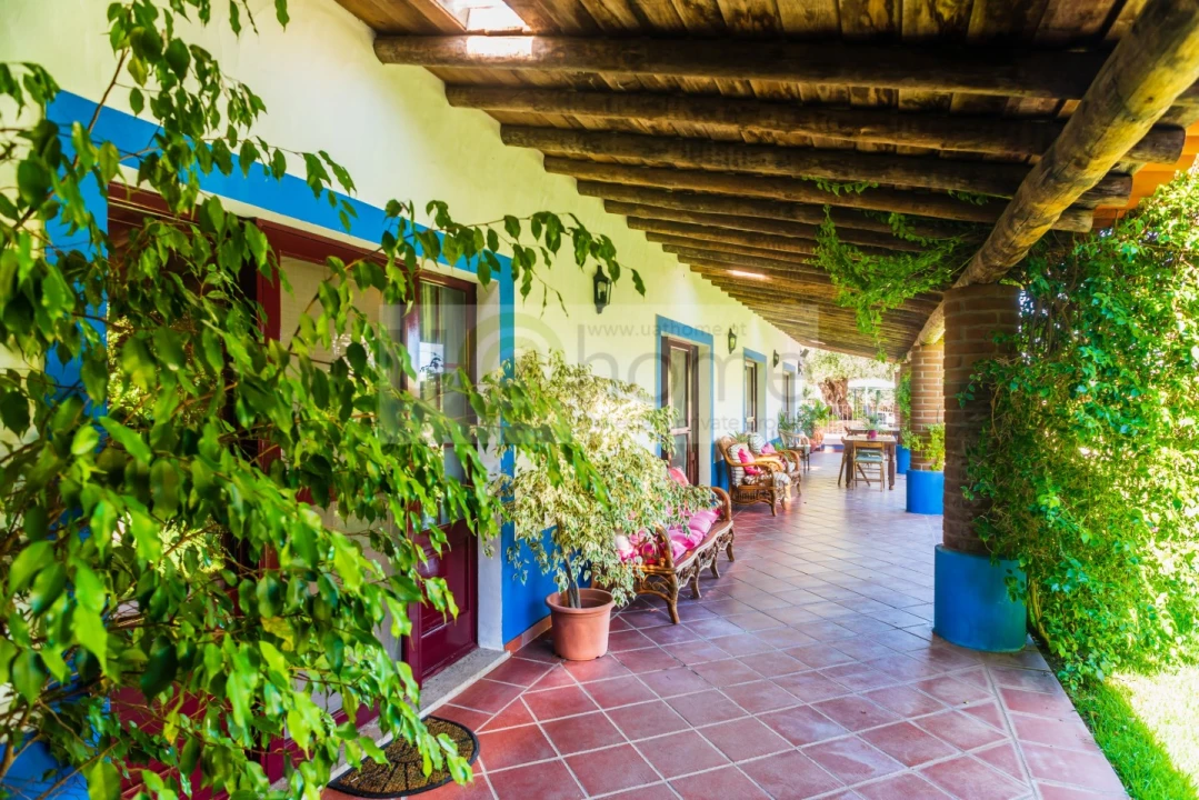 Quinta T13 para Venda em Monsaraz Foto 2