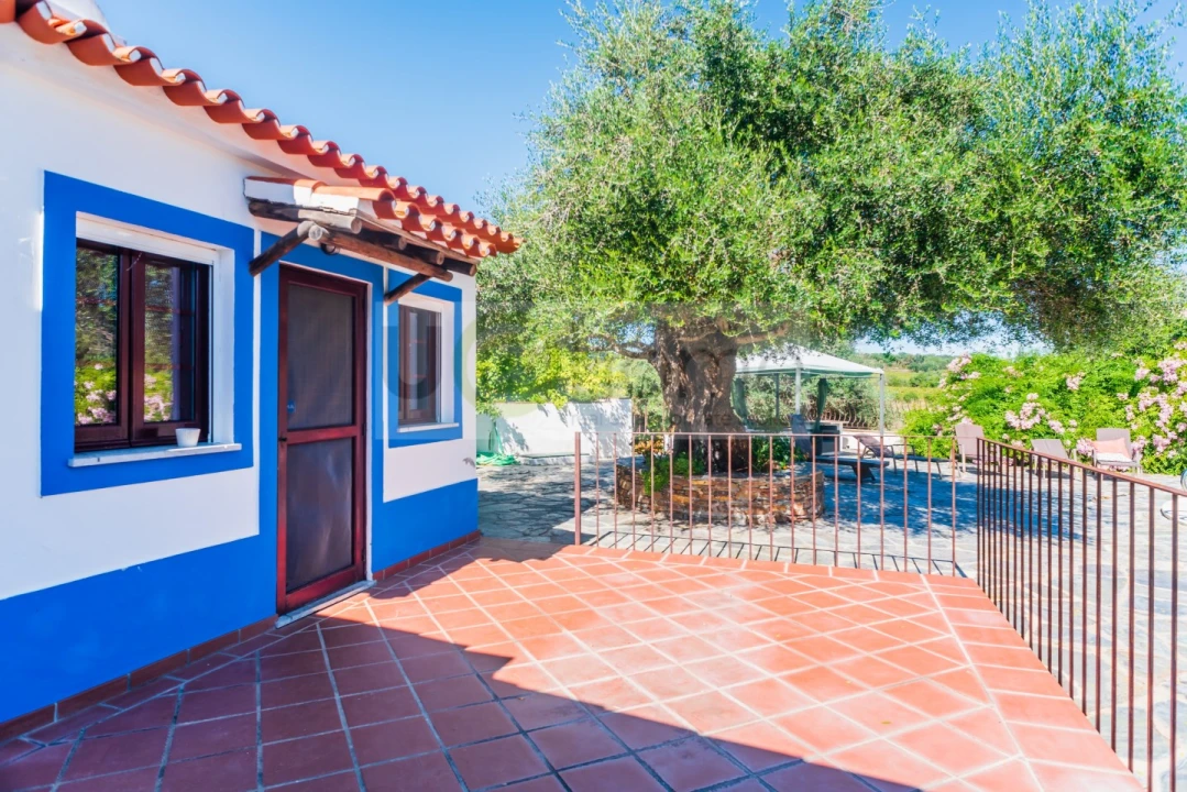 Quinta T13 para Venda em Monsaraz Foto 13