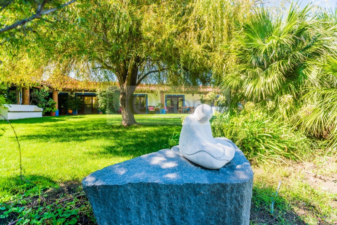 Quinta T13 para Venda em Monsaraz Foto 20