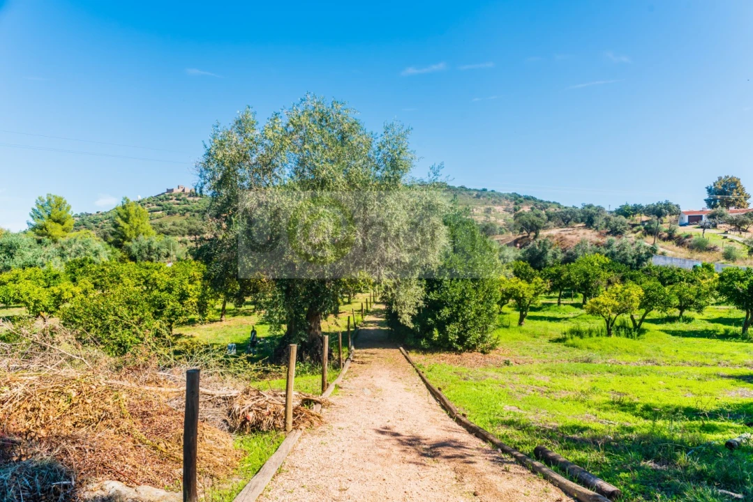 Quinta T13 para Venda em Monsaraz Foto 83