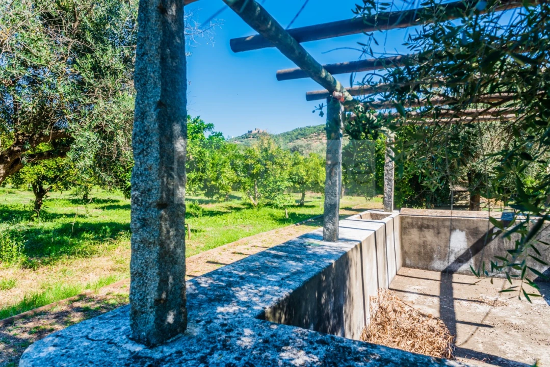 Quinta T13 para Venda em Monsaraz Foto 76