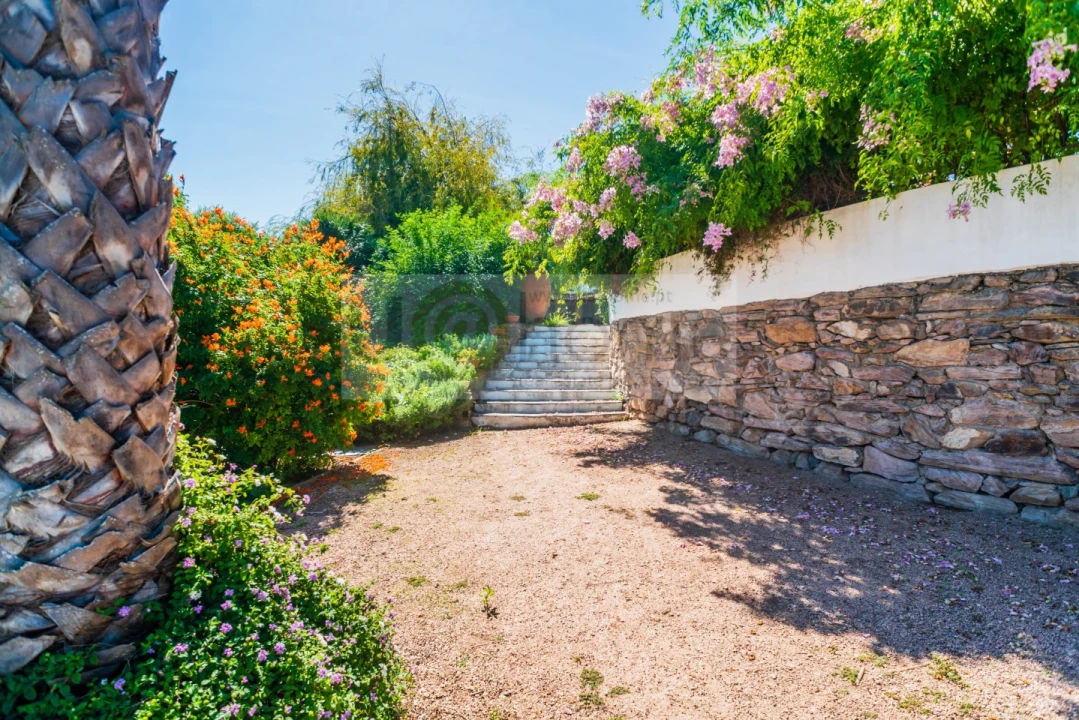 Quinta T13 para Venda em Monsaraz Foto 84