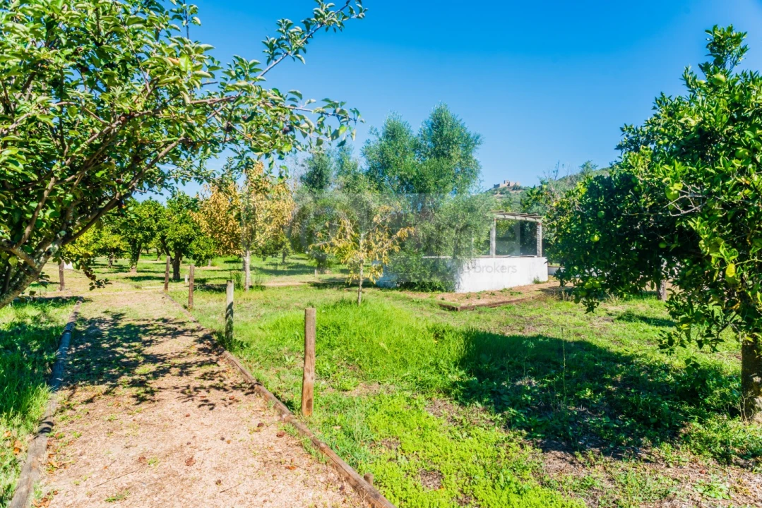 Quinta T13 para Venda em Monsaraz Foto 80