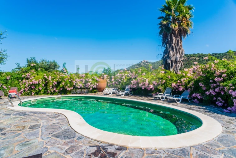 Quinta T13 para Venda em Monsaraz Foto 3