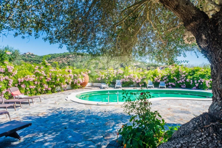 Quinta T13 para Venda em Monsaraz Foto 4