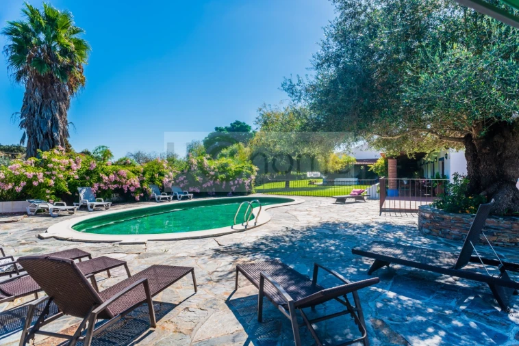 Quinta T13 para Venda em Monsaraz Foto 5