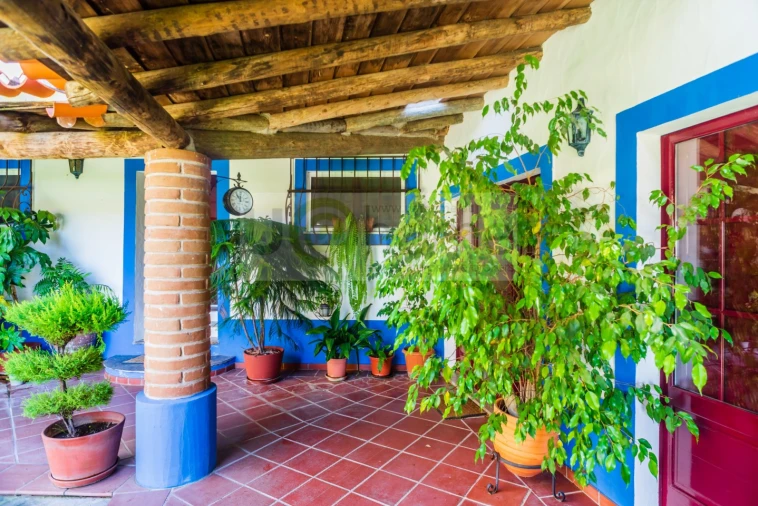 Quinta T13 para Venda em Monsaraz Foto 11